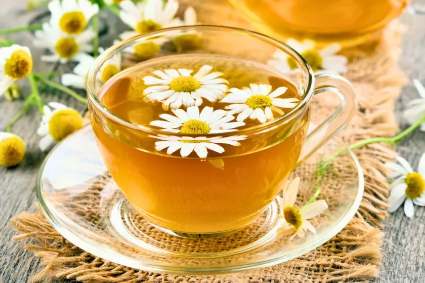 Benefits of chamomile: the essential natural remedy