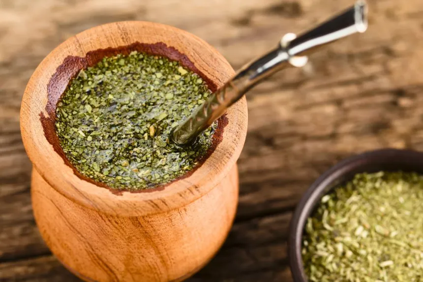 Beneficios y propiedades de la yerba mate para la salud