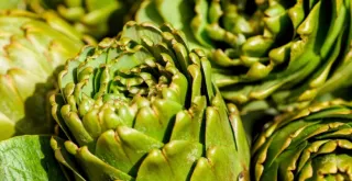 Benefits and Uses of Artichoke for Health