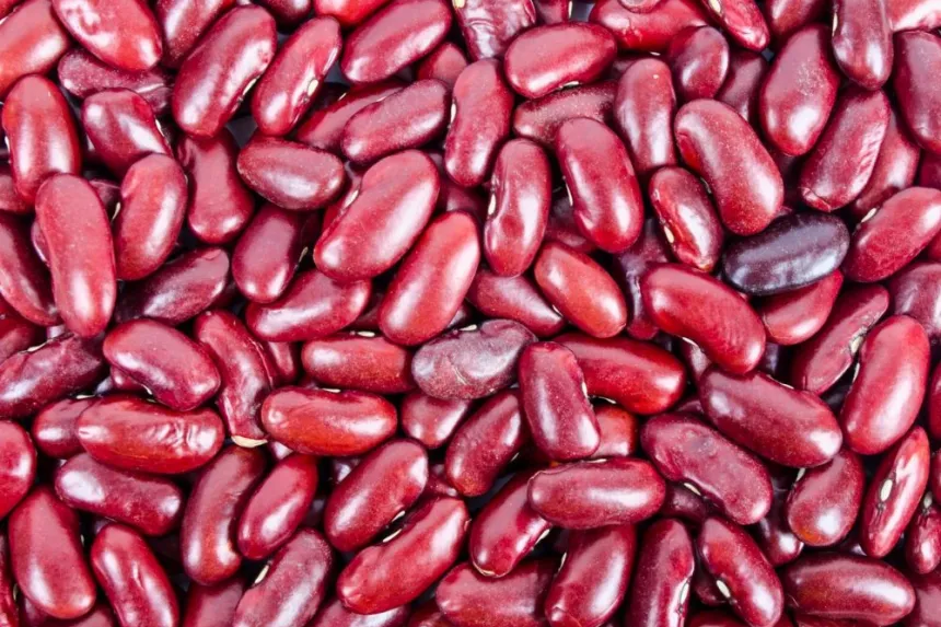 Cómo cocinar frijoles rojos de manera perfecta y fácil