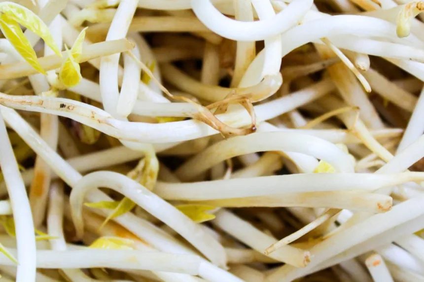 How to freeze soybean sprouts easily and quickly