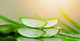 Cómo consumir aloe vera de manera saludable y segura