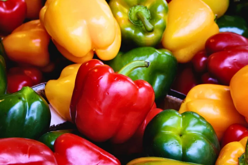 How to effectively grow bell peppers at home.