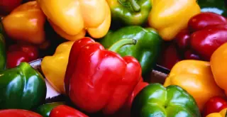 How to effectively grow bell peppers at home.