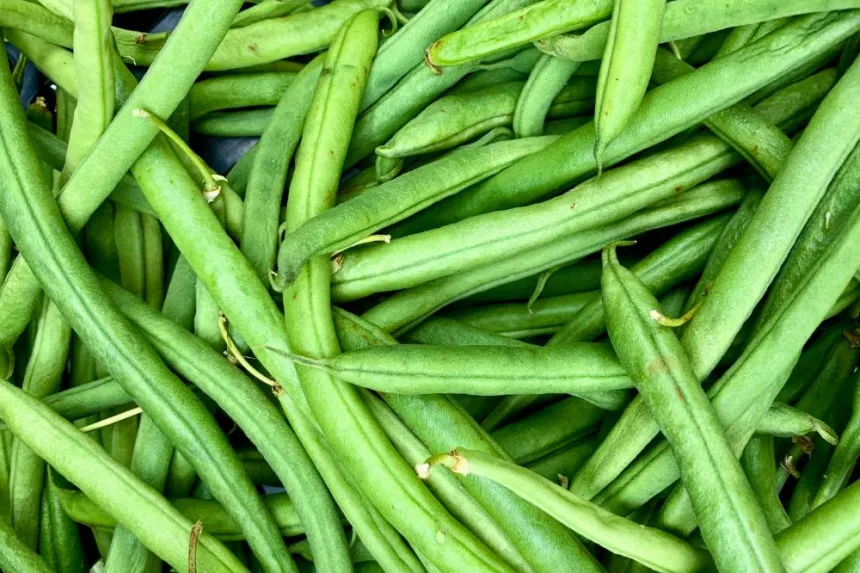 Cómo escaldar judías verdes de manera sencilla y efectiva