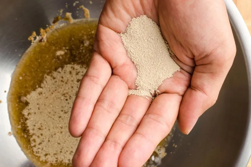 How to activate yeast for your recipes