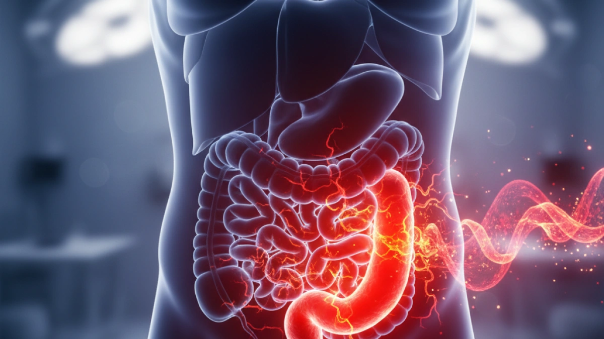 Guía esencial sobre la apendicitis y su tratamiento