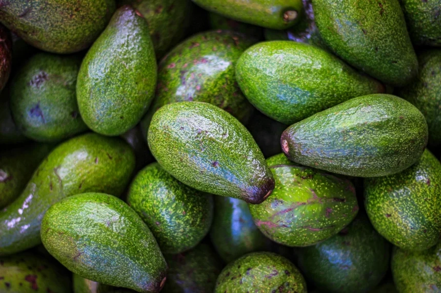 La Palta, reina de la Once