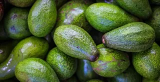 La Palta, reina de la Once