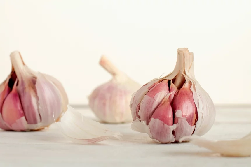 Garlic Contraindications