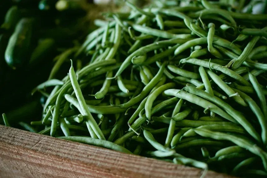 The 5 Benefits of Green Beans