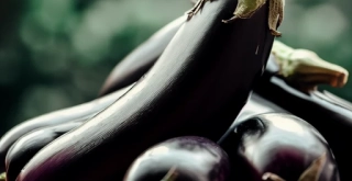 Recipes of Eggplants