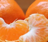 Recipe of Tangerine cream