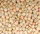 Recipe of Vegan or widowed lentils
