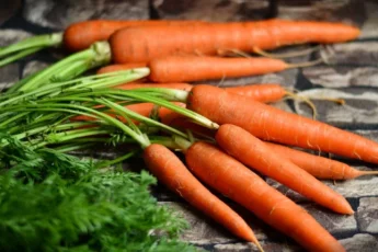 Recipe of Dressed carrots