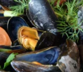 Recipe of Galician Mediterranean-style mussels