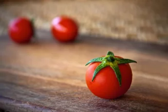 Recette de Une tomate qui donne vie