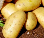 Recipe of Peasant potatoes