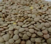 Recipe of Moroccan lentils
