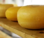 Receita de Causeo de queijo e cebola