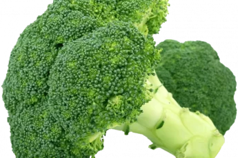 Recipe of Cook broccoli in the microwave.