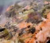 Recipe of Microwaved hake