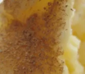 Receta de Helado de queso crema con ruibarbo
