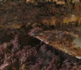 Recipe of Aubergine cake