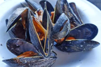 Recipe of Creamed mussels