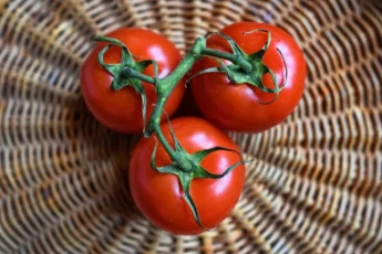 Receita de Geléia de tomate