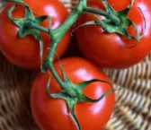 토마토 잼 요리 레시피