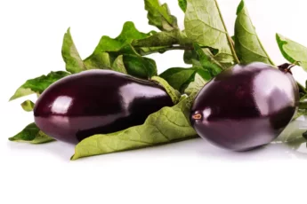 Recipe of Eggplant hummus