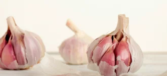 Recipe of Garlic Contraindications