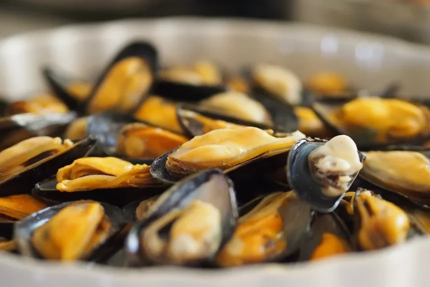 Receta de Almejas con mejillones