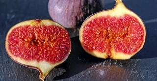 Recipe of Fig and cocoa cake in an airfryer