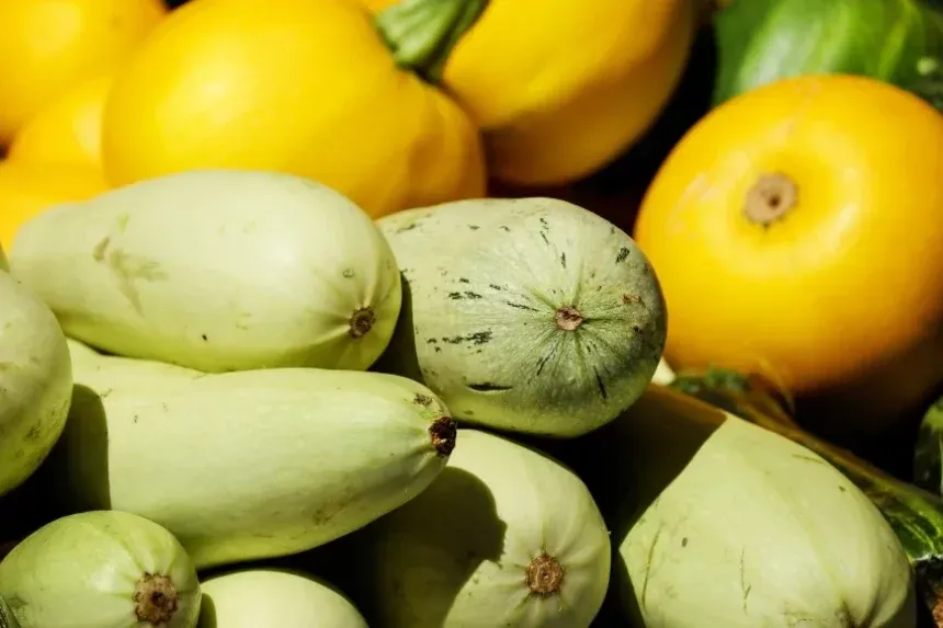 Receta de Calabacin relleno