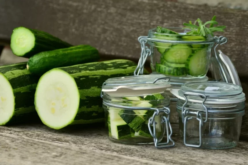 Recipe of Zucchini carpaccio with homemade pesto