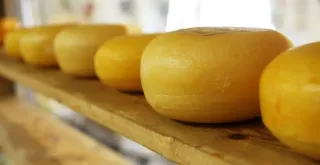 Recipe of Cheese and Onion Causeo