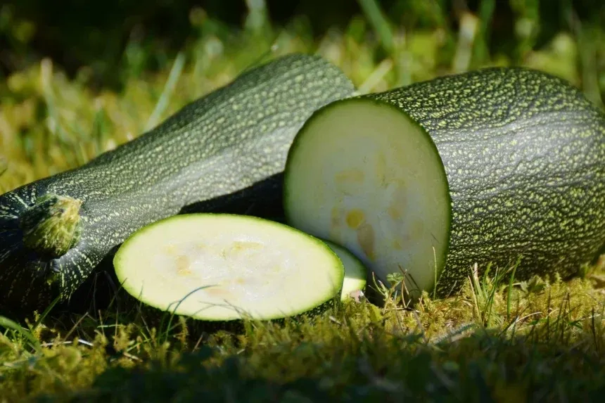 Recipe of Super Crunchy Zucchini Chips with Yogurt Sauce