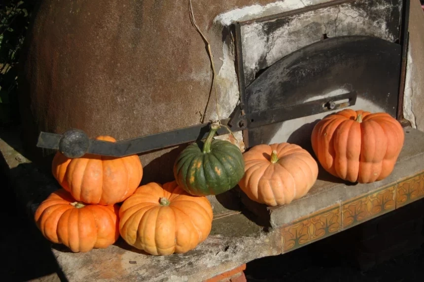 Recipe of Pumpkin cream and turkey meatballs