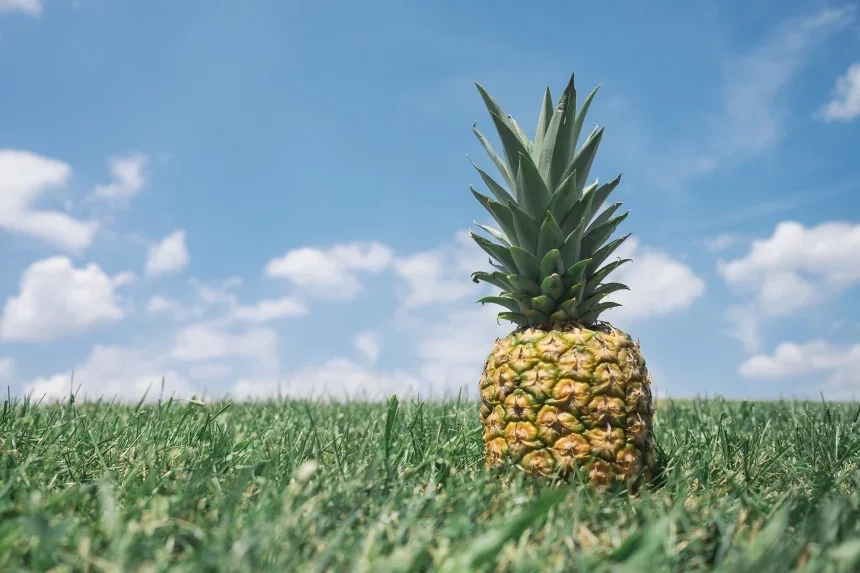 Receta de Ensalada de piña con langostinos y salmón marinado