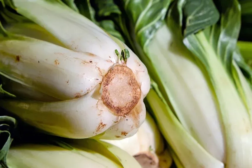 Recipe of Chard stalk salad