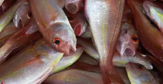 Receta de Fish and chips