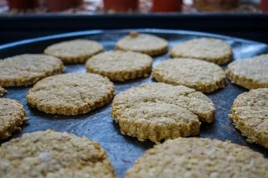 Recipe of Oatmeal, cocoa and banana cookies