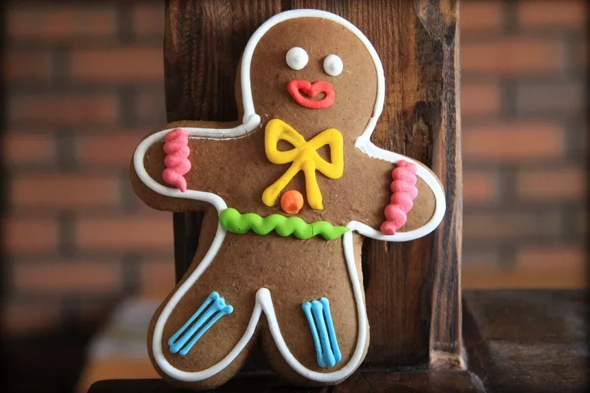 Recipe of Gingerbread cookies