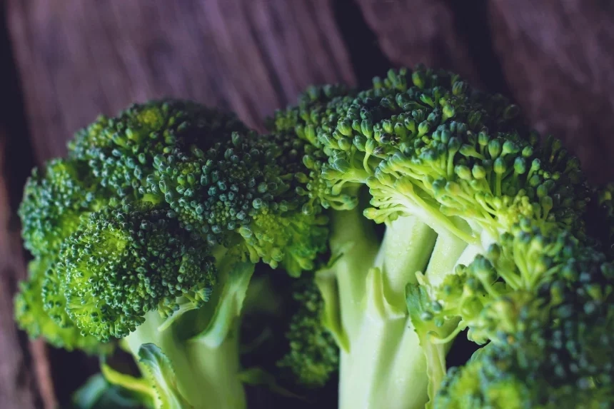 Recipe of Broccoli gratin with mushrooms and cream