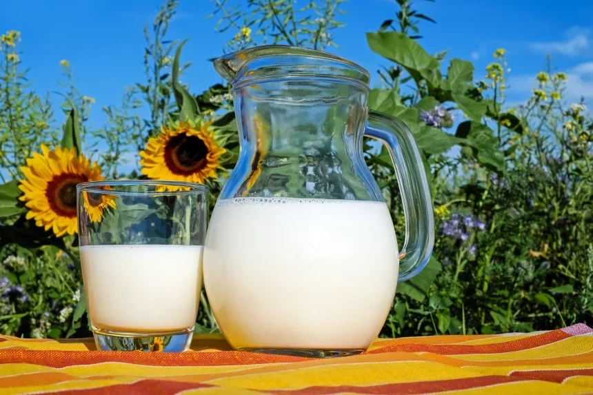 Receta de Leche de avena sin lactosa