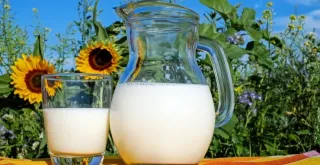 Recipe of Lactose-free oat milk