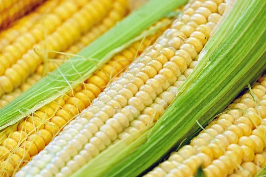 Recipe of Corn on the cob in the air fryer