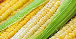 Recipe of Corn on the cob in the air fryer